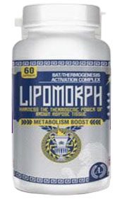 lipomorphproductimage
