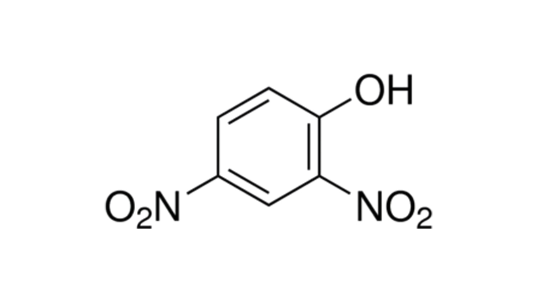 DNP2 4dinitrophenol