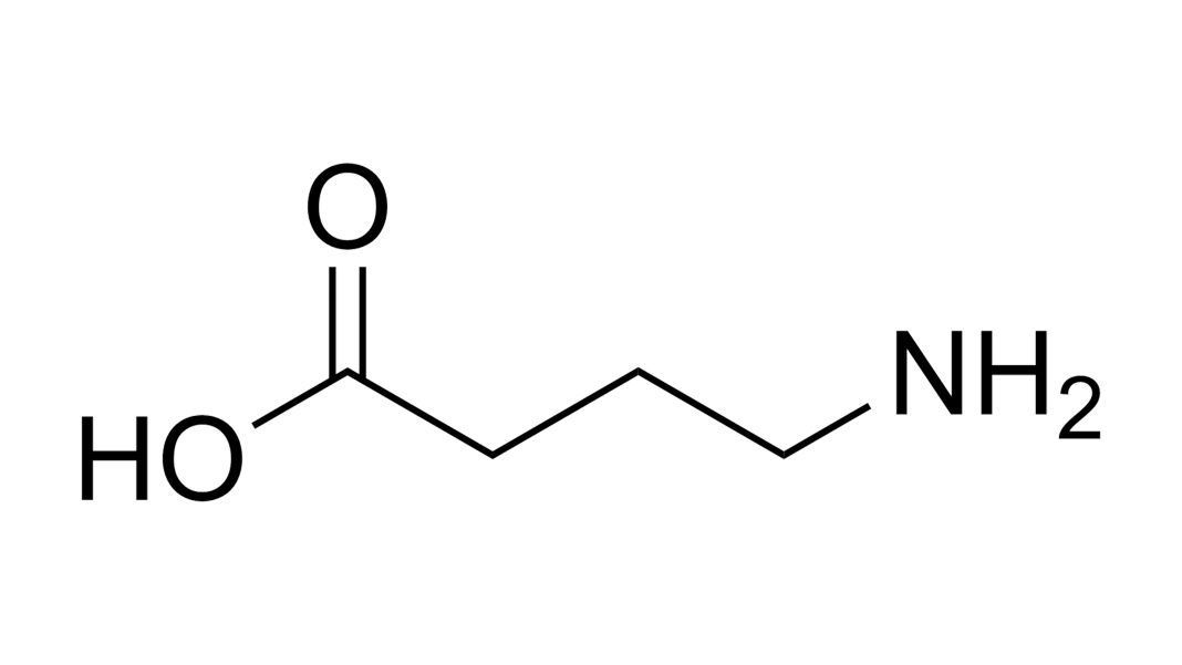 GABA(Gamma-Aminobutyric Acid)