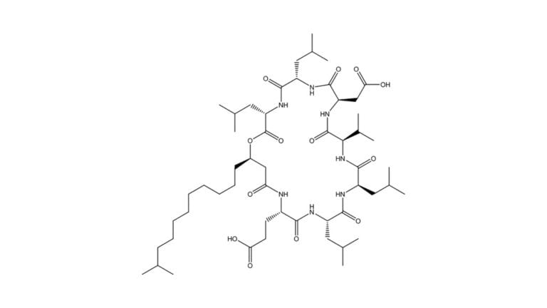 Lipopeptide