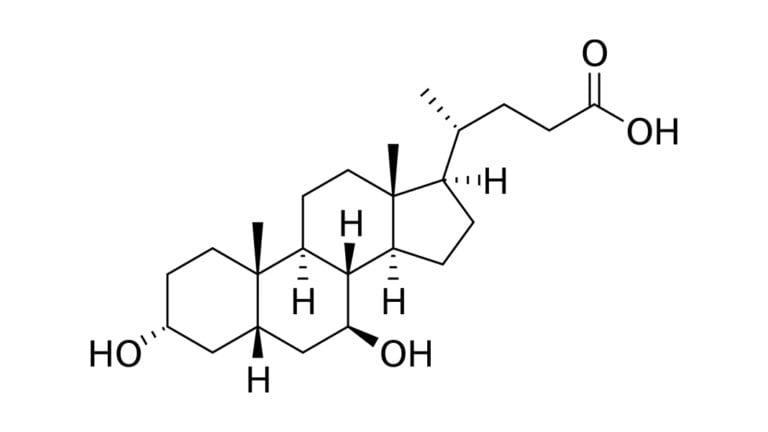 ursodeoxycholicacid