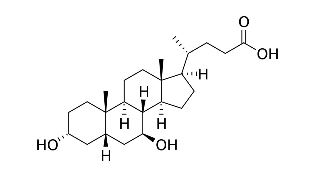 ursodeoxycholicacid
